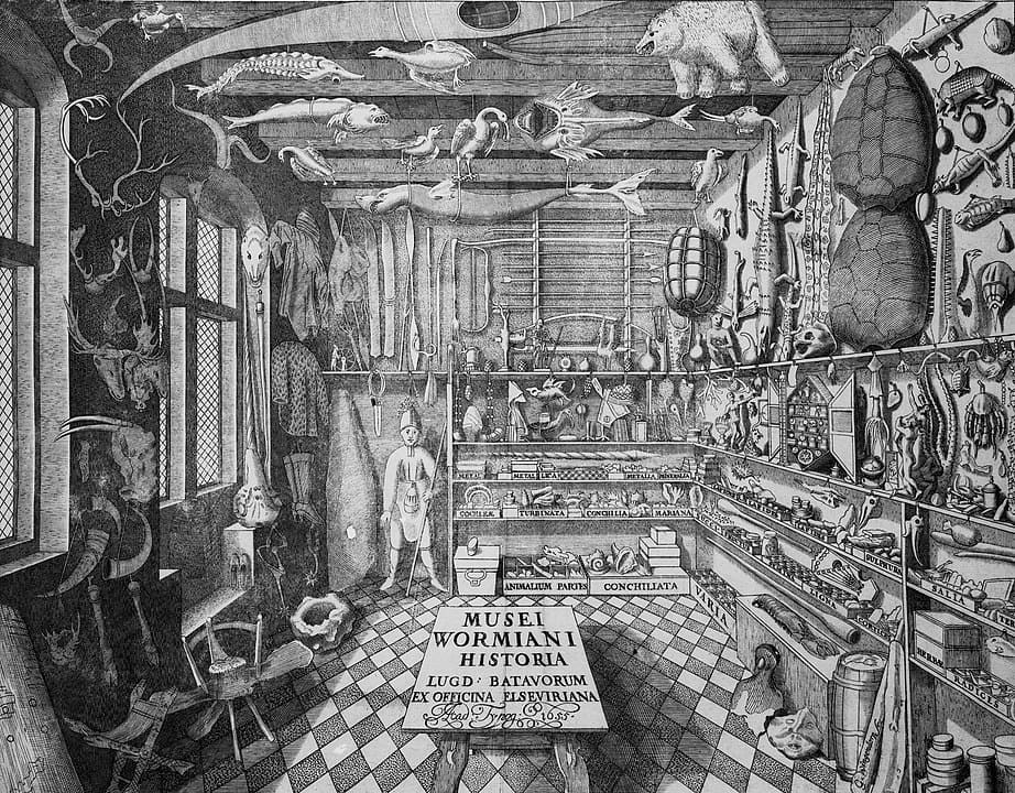 Cabinet of curiosities - tủ đựng đồ tò mò hay phòng kỳ diệu thế kỷ XVI - tương tự như tủ đồ sưu tầm, tủ đồ cổ, hay tủ đồ quý ngày nay.
